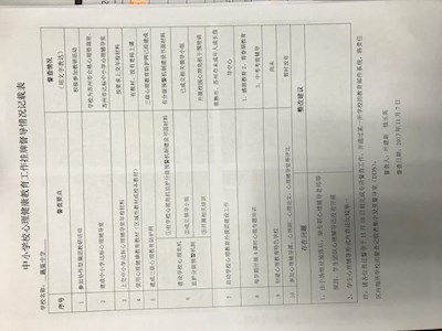 2017年中小学心理健康教育督导整改