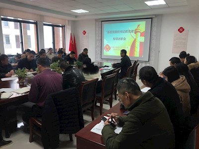 "基层党组织书记抓党建”专项述职会